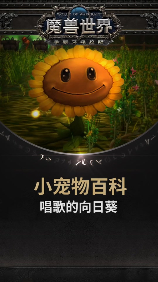 魔兽向日葵宝宝世界攻略_魔兽世界向日葵排队封号吗_魔兽世界向日葵宝宝