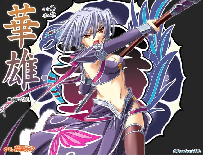 三国恋姬无双游戏_无双三国恋姬传jgg配置要求_三国之恋姬无双
