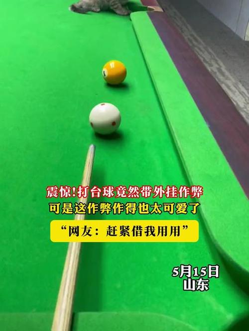 台球作弊器_台球作弊器_台球作弊器