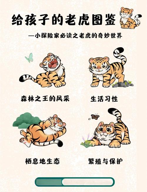 老虎宝典_老虎宝典地图APP_老虎宝典最新版下载