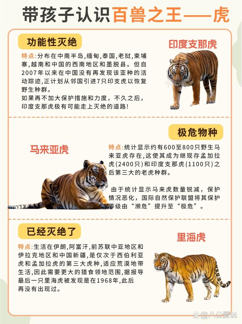 老虎宝典地图APP_老虎宝典_老虎宝典最新版下载