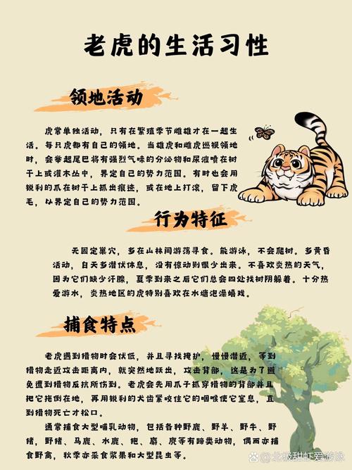 老虎宝典最新版下载_老虎宝典_老虎宝典地图APP