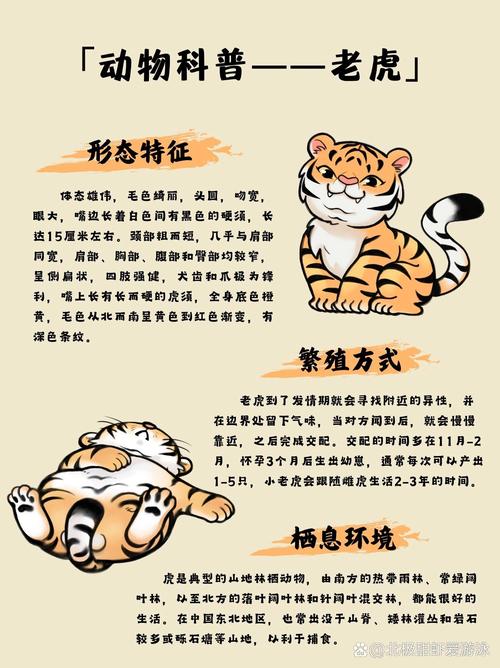 老虎宝典最新版下载_老虎宝典_老虎宝典地图APP