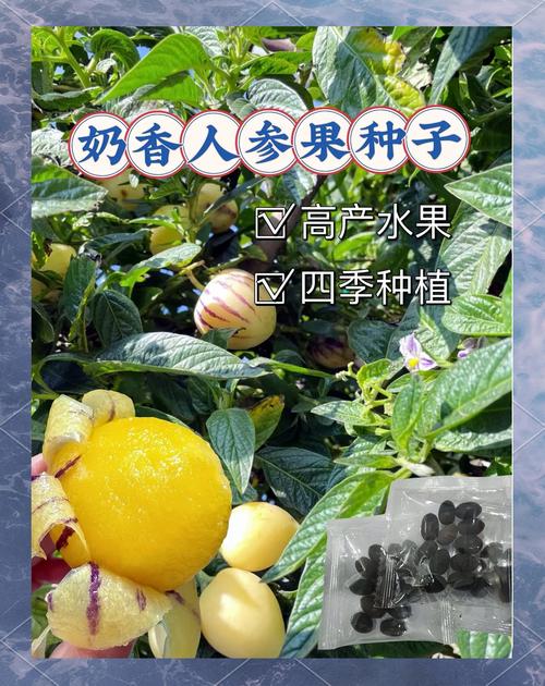 超级人参果的神奇力量与千年起源揭秘：奇幻世界中的珍贵宝物