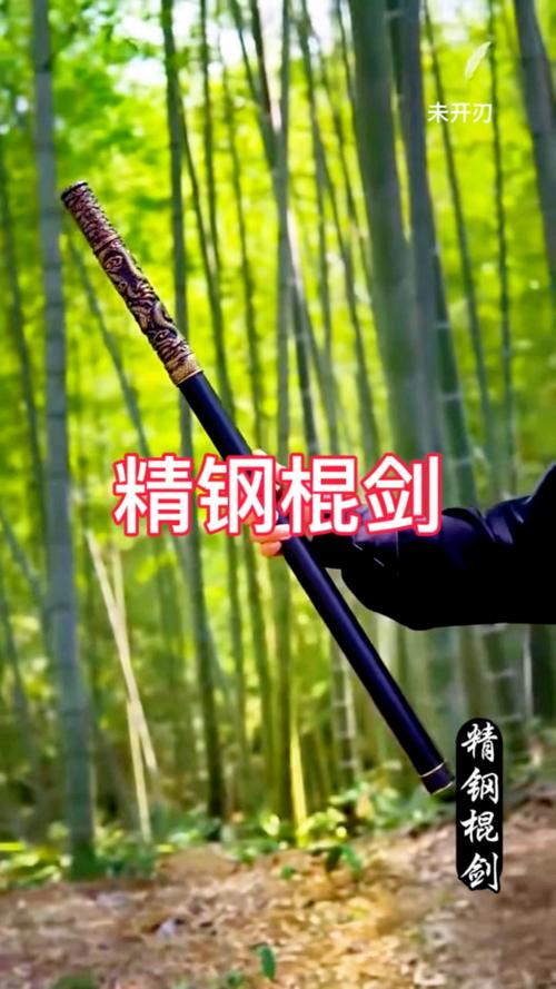 男气功用什么武器好100_男气功用什么武器_男气功武器