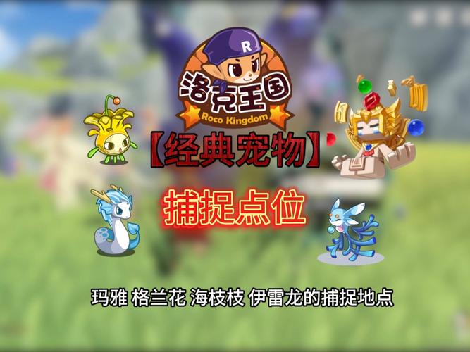 洛克王国国王球在哪里获得_洛克王国国王球是百分百捕捉吗_洛克王国国王球