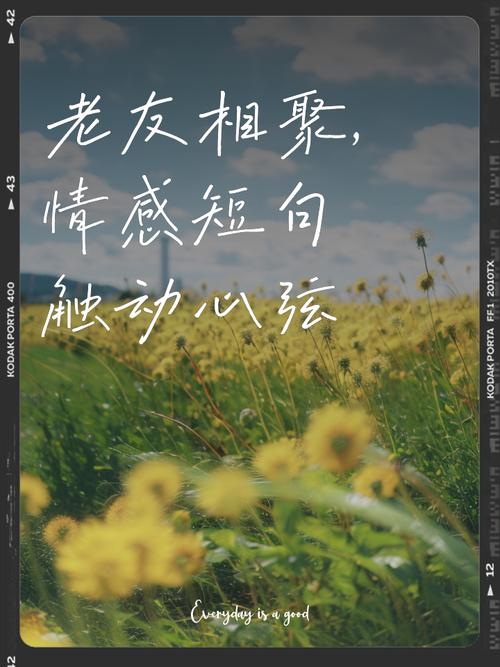 老友卡海外点卡_老友卡_老友卡充值官网
