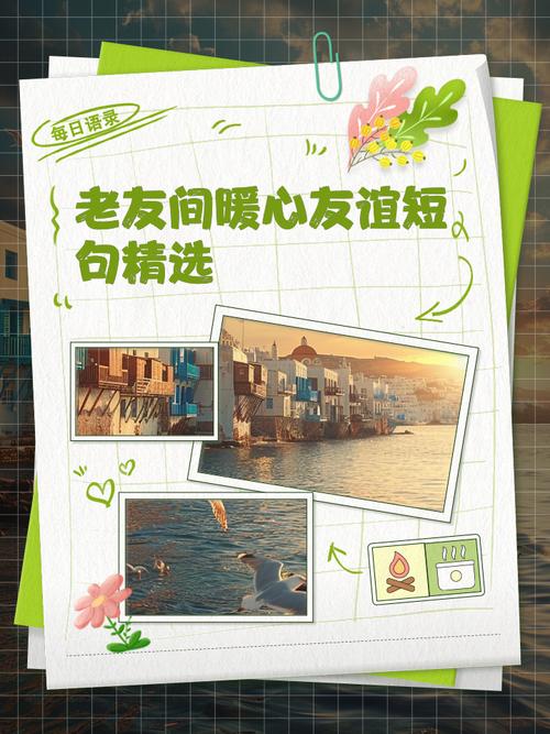 老友卡充值官网_老友卡海外点卡_老友卡