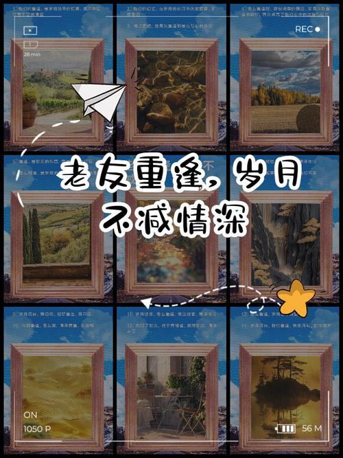老友卡_老友卡充值官网_老友卡海外点卡