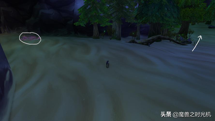 wow海山怎么去_海山去东门怎么坐地铁_海山去年军训时间安排