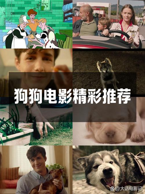 狗狗下载资源_狗狗软件库_狗狗资源下载app