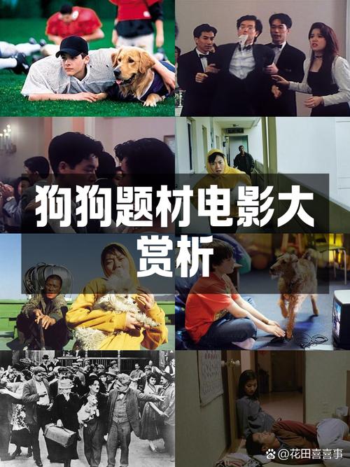 狗狗下载资源_狗狗软件库_狗狗资源下载app