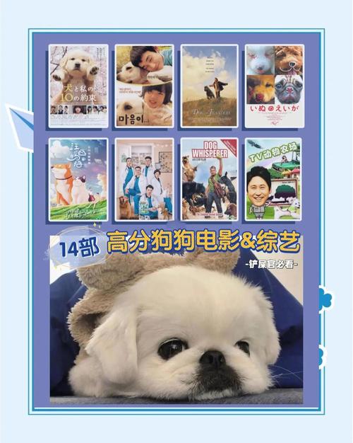 狗狗下载资源_狗狗软件库_狗狗资源下载app