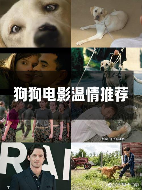 狗狗资源下载app_狗狗软件库_狗狗下载资源