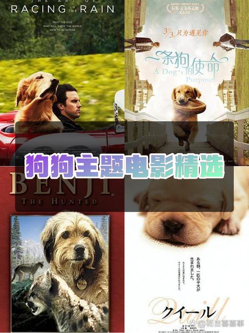 狗狗资源下载app_狗狗下载资源_狗狗软件库
