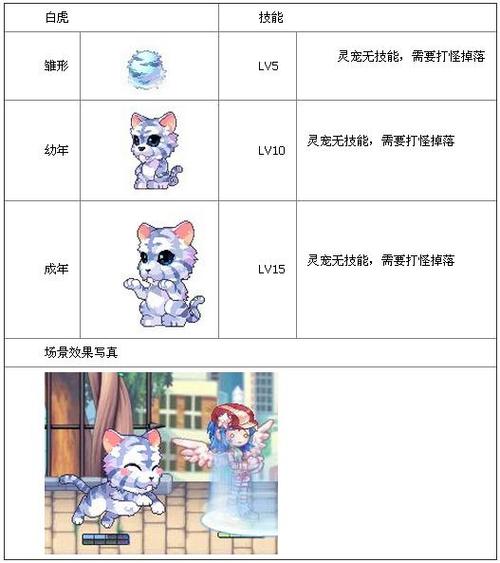 彩虹岛灵宠技能书_彩虹岛灵宠技能书效果_彩虹岛灵宠灵技怎么获得