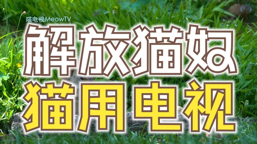电视猫下载app_电视猫下载app免费_电视猫下载