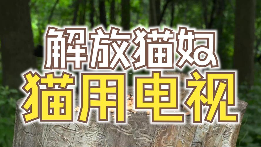 电视猫下载app免费_电视猫下载app_电视猫下载