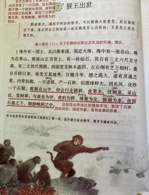 石猴传授技艺，尽显神奇色彩与教育价值，徒弟成长故事引人深思