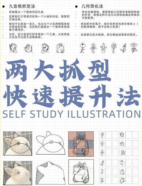 达比拉怎么融合_达比拉几级进化_达比拉怎么抓