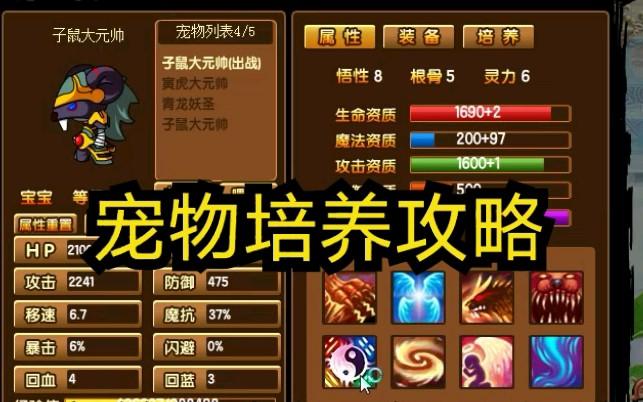 宠物刷技能造梦西游_西游宠物造梦得多少金币_造梦西游3宠物怎么得