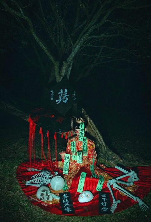 幽灵新娘_幽灵新娘电影在线观看_幽灵新娘简介