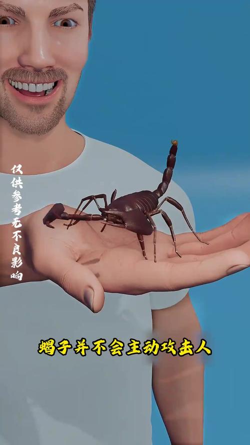 致命蝎刺_致命蝎刺在哪里学_致命蝎刺评测