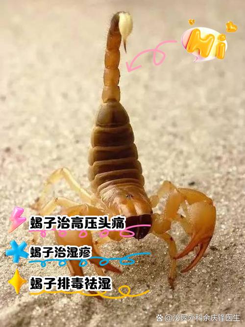致命蝎刺_致命蝎刺评测_致命蝎刺在哪里学