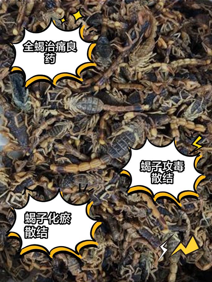 致命蝎刺_致命蝎刺在哪里学_致命蝎刺评测