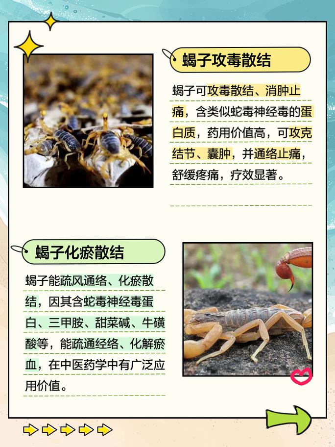 致命蝎刺_致命蝎刺在哪里学_致命蝎刺评测