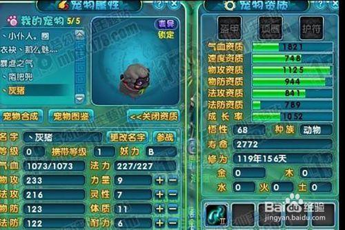 梦幻诛仙兜兜奇遇攻略_梦幻诛仙兜兜许愿池多久开一次_梦幻诛仙兜兜