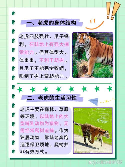 老虎宝典下载_老虎宝典地图APP_老虎宝典