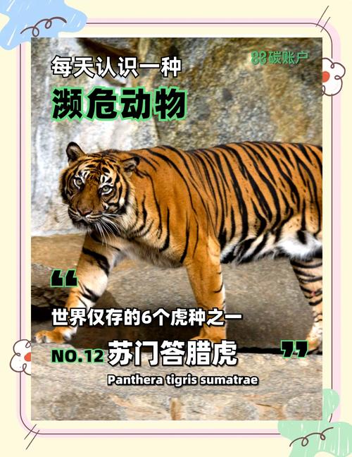 老虎宝典_老虎宝典地图APP_老虎宝典下载