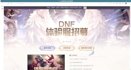 dnf界面补丁怎么用_dnf补丁使用_dnf补丁用什么打开