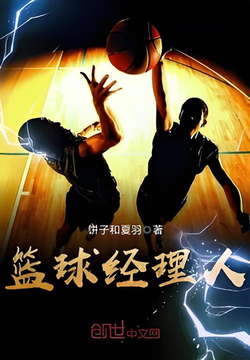 冠军篮球经理_冠军篮球经理2中国联赛_篮球经理冠军怎么选