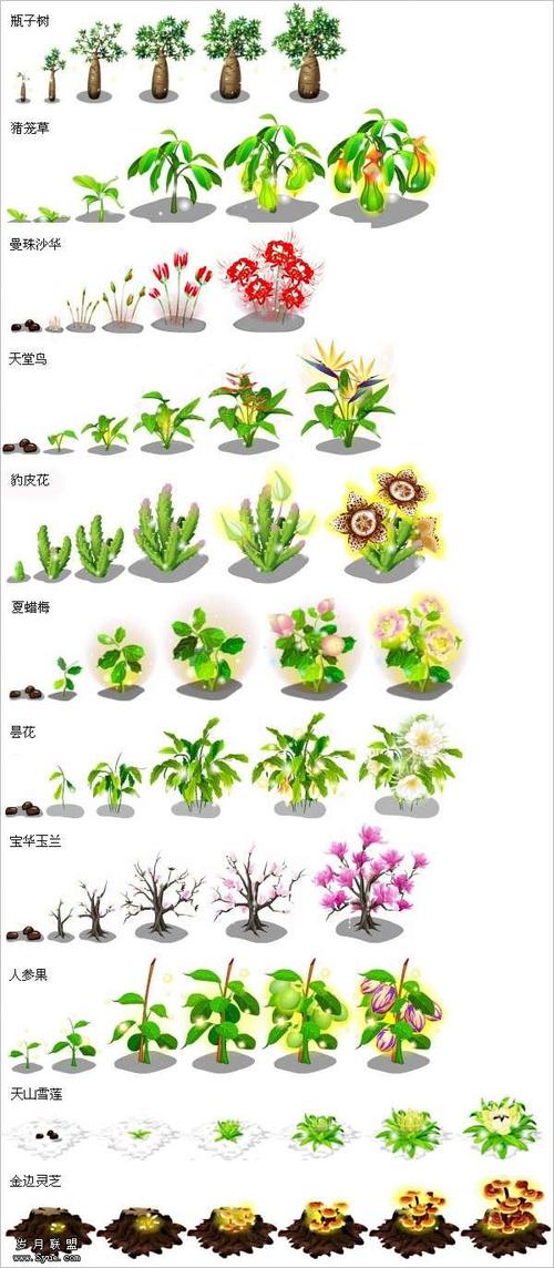 qq农场除草_农场除草劳动课教案设计_农场除草机
