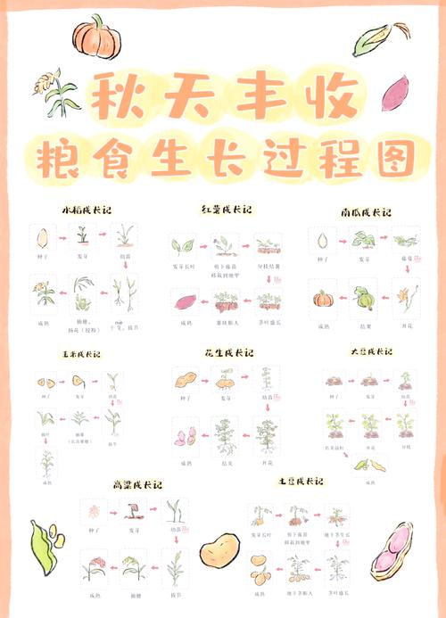 农场升级到1000级怎样玩_农场种什么升级最快_农场等级怎么升级