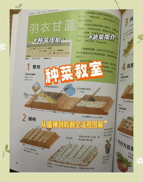农场等级怎么升级_农场升级到1000级怎样玩_农场种什么升级最快