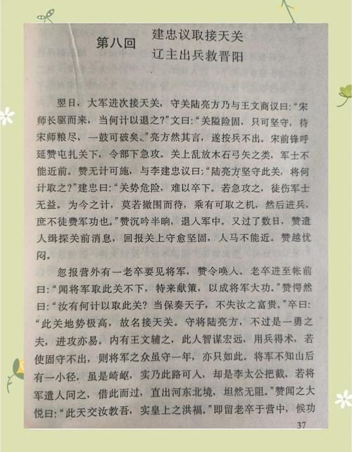 杨家传奇人物_杨家将传奇宝物_杨家将传奇镜宝