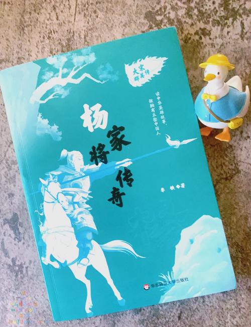 杨家将传奇镜宝_杨家传奇人物_杨家将传奇宝物