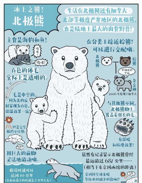 北极熊怎么走_北极熊的地图_北极熊坐标