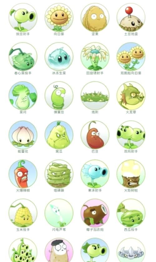植物大战僵尸图集僵尸_植物大战僵尸ol图鉴_植物大战僵尸ol僵尸图鉴大全