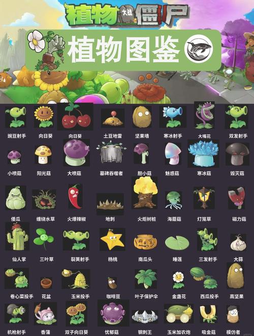 植物大战僵尸图集僵尸_植物大战僵尸ol图鉴_植物大战僵尸ol僵尸图鉴大全