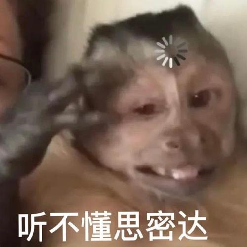 飞信添加表情包_飞信表情全集_飞信表情包下载