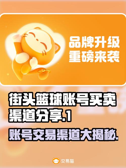 街头篮球注册全攻略：多渠道选择与账号信息填写要点