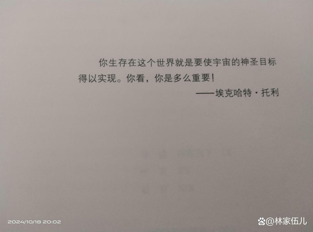 深入探讨：生活中简单感叹词wow背后的无尽力量与意义