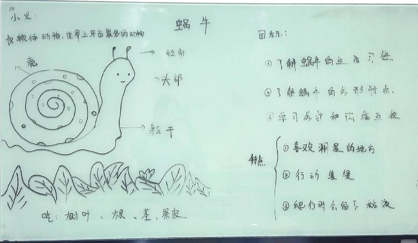 蜗牛透视插件_蜗牛透视图_蜗牛cf透视