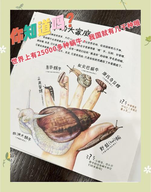 蜗牛透视图_蜗牛cf透视_蜗牛透视插件