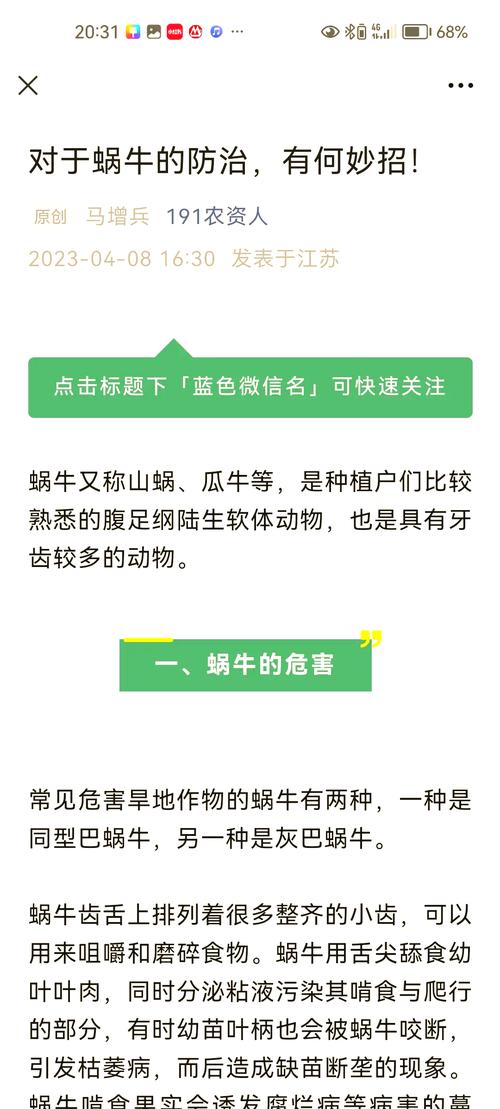 蜗牛cf透视_蜗牛透视插件_蜗牛透视图