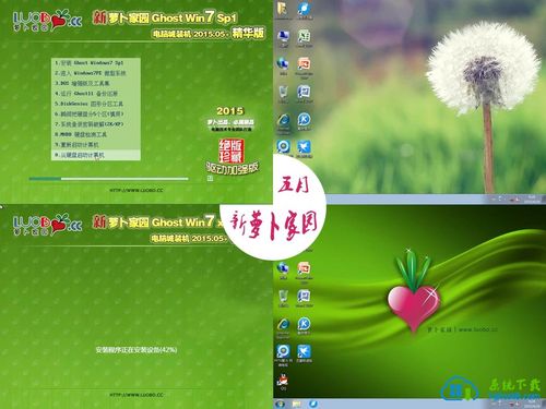 箩卜家园 萝卜家园：2005年兴起的知名操作系统克隆版制作团队